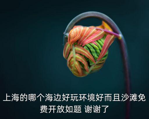 上海的哪個(gè)海邊好玩環(huán)境好而且沙灘免費(fèi)開放如題 謝謝了