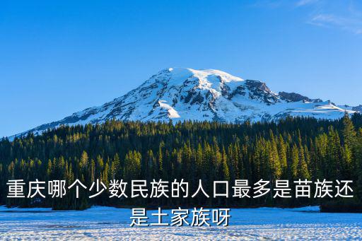 重慶哪個(gè)少數(shù)民族的人口最多是苗族還是土家族呀