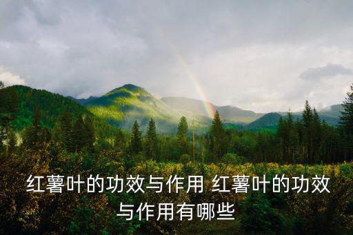  紅薯葉的功效與作用 紅薯葉的功效與作用有哪些