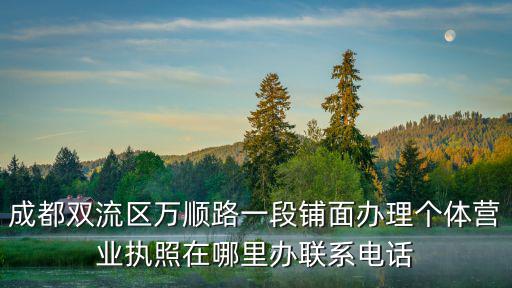 成都雙流區萬順路一段鋪面辦理個體營業執照在哪里辦聯系電話