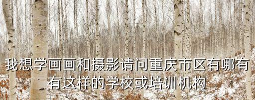 我想學畫畫和攝影請問重慶市區有哪有有這樣的學校或培訓機構