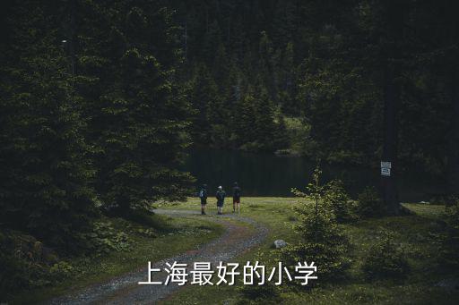 整個上海市最好的小學，在上海市區各區能各說23個好的小學么