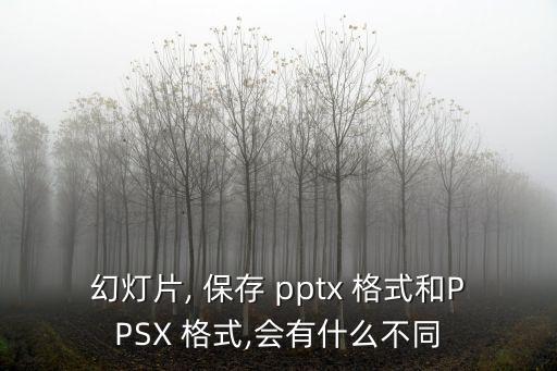 幻燈片, 保存 pptx 格式和PPSX 格式,會有什么不同