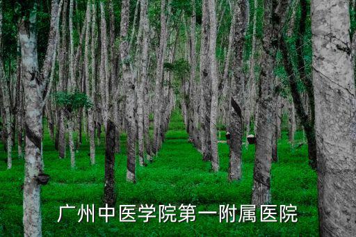 廣州中醫學院第一附屬醫院