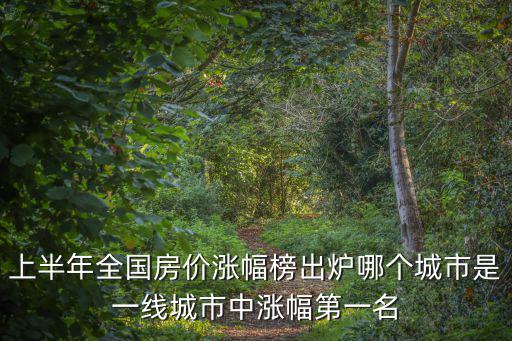 上半年全國房價漲幅榜出爐哪個城市是一線城市中漲幅第一名