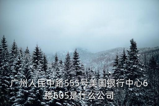 廣州人民中路555號美國銀行中心6樓605是什么公司