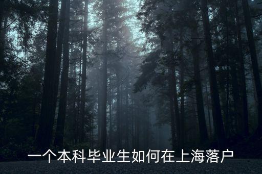 上海人材引進落戶流程，外地來滬人員怎么能取得上海戶口