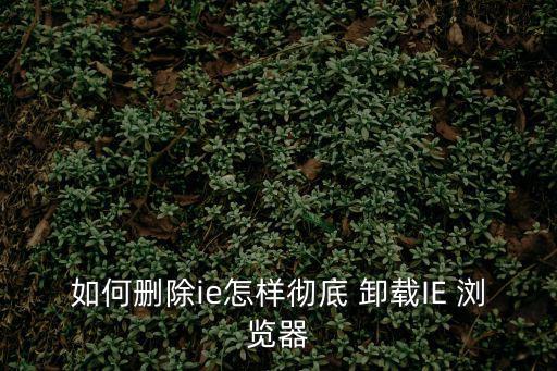 如何刪除ie怎樣徹底 卸載IE 瀏覽器