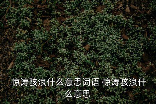  驚濤駭浪什么意思詞語 驚濤駭浪什么意思