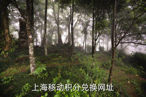 上海購(gòu)房個(gè)人積分查詢(xún)官網(wǎng)登錄，上海購(gòu)物積分處