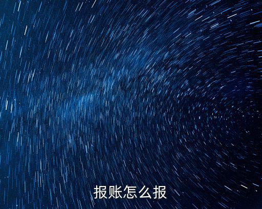 報賬怎么報