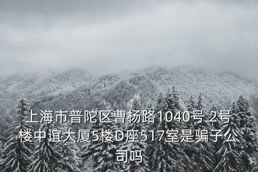 上海公共支付一網通辦，上海延安西路1088號長峰中心15樓1509室是什么公司