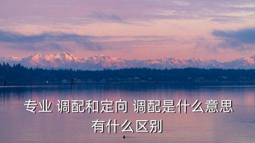  專業 調配和定向 調配是什么意思有什么區別