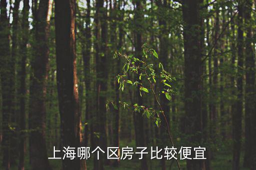 上海哪個市區房價便宜，上海哪個區房子比較便宜