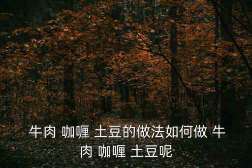 咖喱牛肉土豆,土豆胡蘿卜切成小塊牛肉提前減速