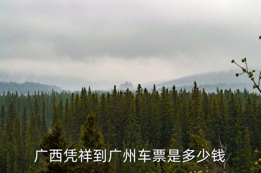 廣西憑祥到廣州車票是多少錢