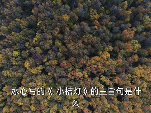 冰心寫的《 小桔燈》的主旨句是什么