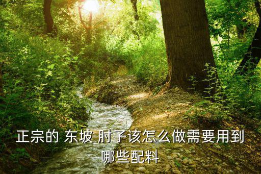 東坡肘子怎么做,一湯匙肘子原湯一份秘制醬汁