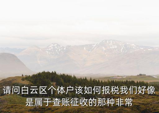 請問白云區(qū)個體戶該如何報稅我們好像是屬于查賬征收的那種非常