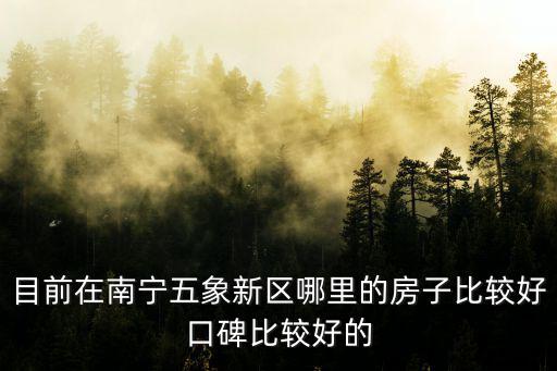 目前在南寧五象新區哪里的房子比較好口碑比較好的