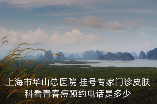 上海市華山總醫院 掛號專家門診皮膚科看青春痘預約電話是多少