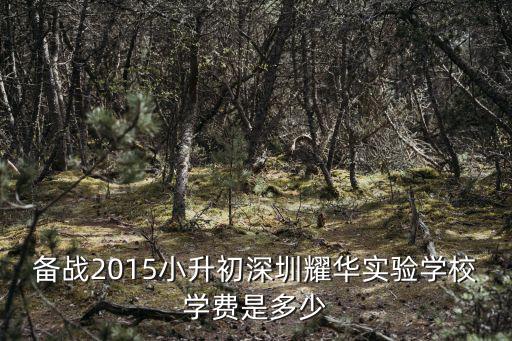 備戰(zhàn)2015小升初深圳耀華實(shí)驗(yàn)學(xué)校學(xué)費(fèi)是多少