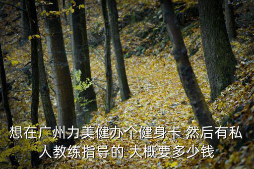 想在廣州力美健辦個健身卡 然后有私人教練指導的 大概要多少錢