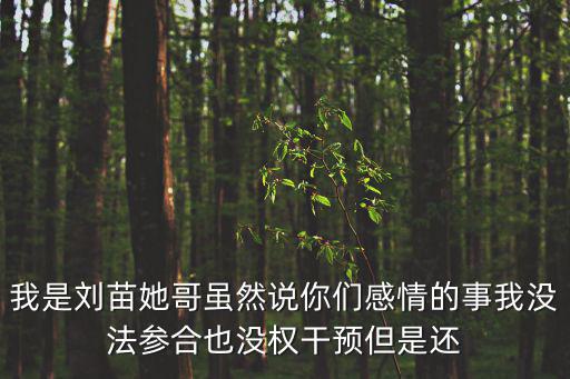 我是劉苗她哥雖然說你們感情的事我沒法參合也沒權干預但是還