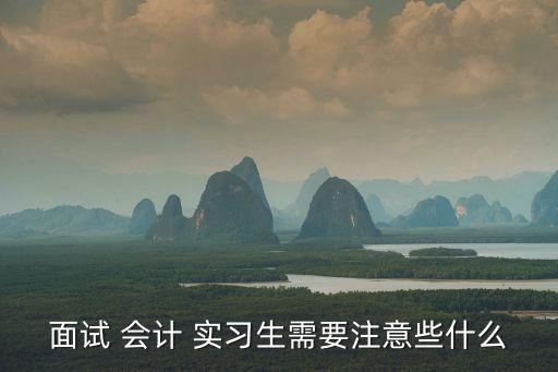 會計實習生,第一批新人包括會計助理檢討報告出爐