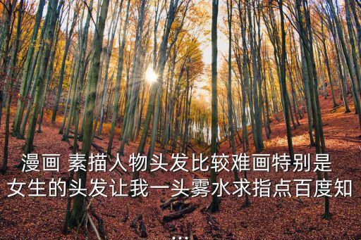 漫畫 素描人物頭發(fā)比較難畫特別是 女生的頭發(fā)讓我一頭霧水求指點(diǎn)百度知...