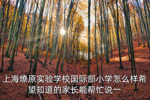 上海燎原實驗學校國際部小學怎么樣希望知道的家長能幫忙說一
