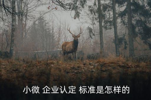小微企業(yè)劃分標(biāo)準(zhǔn),2022小微企業(yè)標(biāo)準(zhǔn)如下