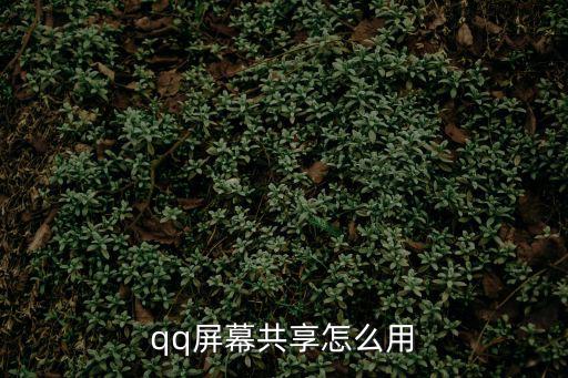 qq屏幕共享怎么用