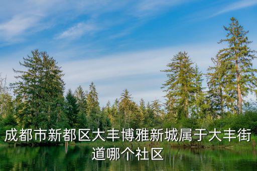 成都市新都區(qū)大豐鎮(zhèn)開(kāi)元國(guó)際社區(qū)，成都市新都區(qū)大豐博雅新城屬于大豐街道哪個(gè)社區(qū)