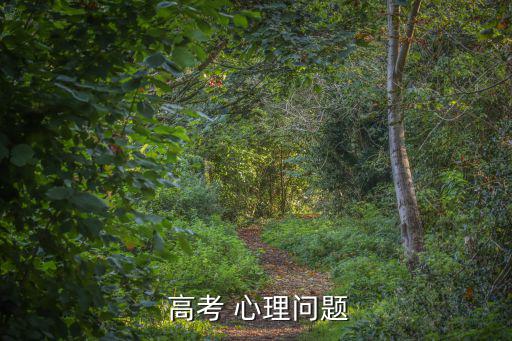 高考 心理問題