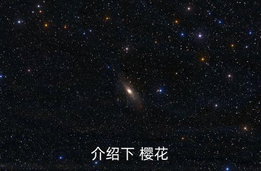 櫻花介紹,櫻花屬薔薇科植物名稱來自印度