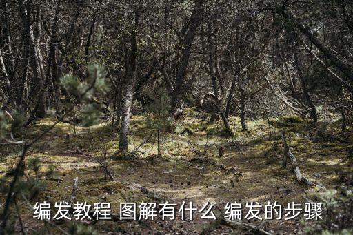 編發圖解,瀑布編發教程圖解第一步