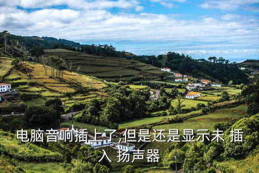 電腦音響插上了,但是還是顯示未 插入 揚聲器