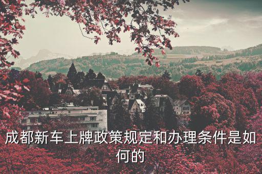 成都新車上牌政策規(guī)定和辦理條件是如何的