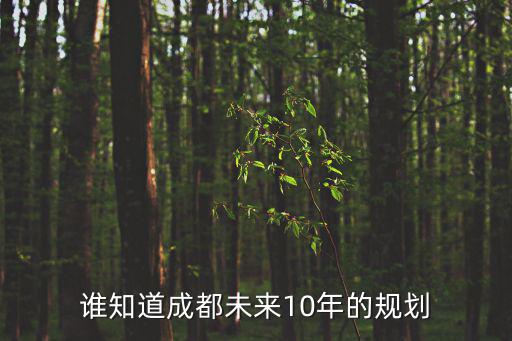 誰知道成都未來10年的規(guī)劃