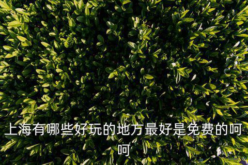 上海有哪些好玩的地方最好是免費的呵呵