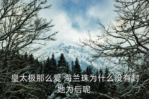 皇太極與海蘭珠,皇太極真愛海蘭珠第二點:愛是故事