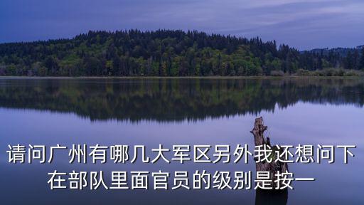 請(qǐng)問(wèn)廣州有哪幾大軍區(qū)另外我還想問(wèn)下在部隊(duì)里面官員的級(jí)別是按一
