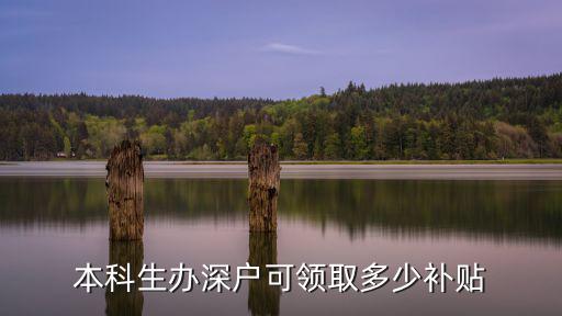 深圳本科生人才補(bǔ)貼，深圳人才引進(jìn)補(bǔ)貼