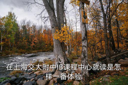 在上海交大附中IB課程中心就讀是怎樣一番體驗