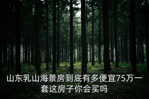 山東乳山海景房到底有多便宜75萬(wàn)一套這房子你會(huì)買嗎
