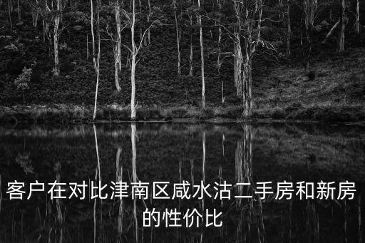 客戶在對比津南區咸水沽二手房和新房的性價比