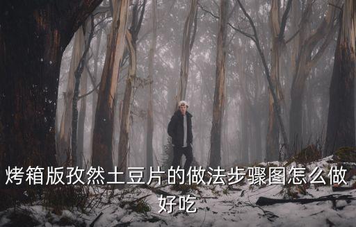 烤箱烤土豆片，烤箱版烤土豆片史上最詳細(xì)怎么做如何