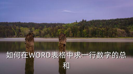 如何在WORD表格中求一行數(shù)字的總和