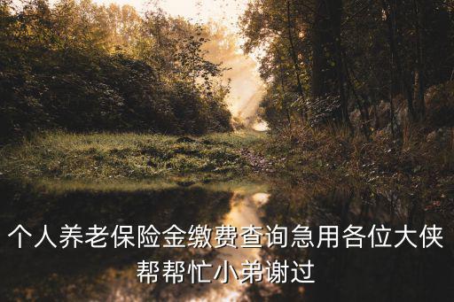 個人養老保險金繳費查詢急用各位大俠幫幫忙小弟謝過